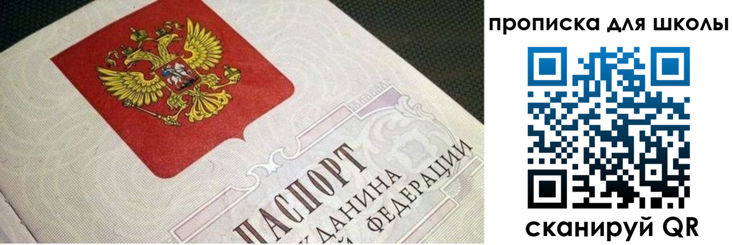 прописка поиск в Елабуге
